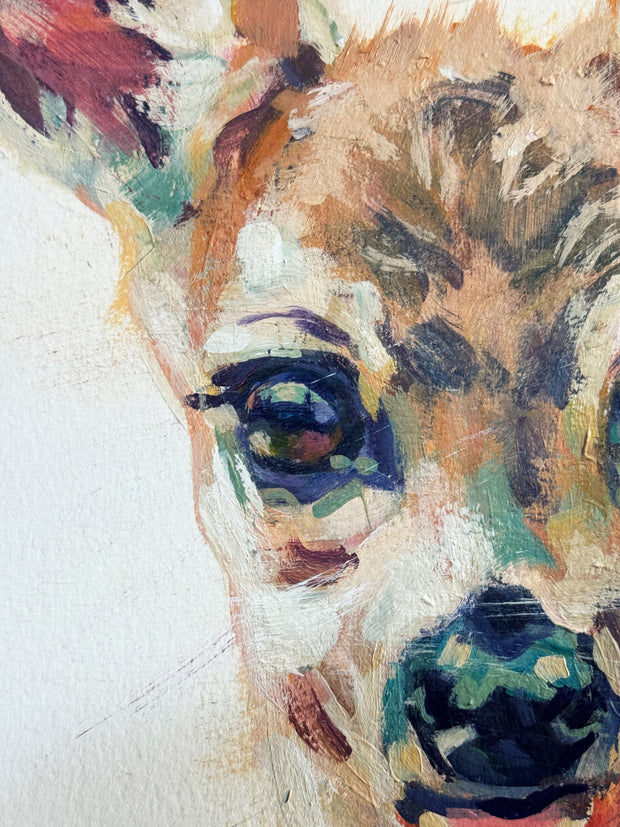 Deer - Meadow (original)