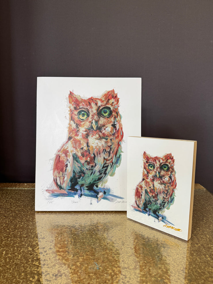 Owl - Oren panel prints
