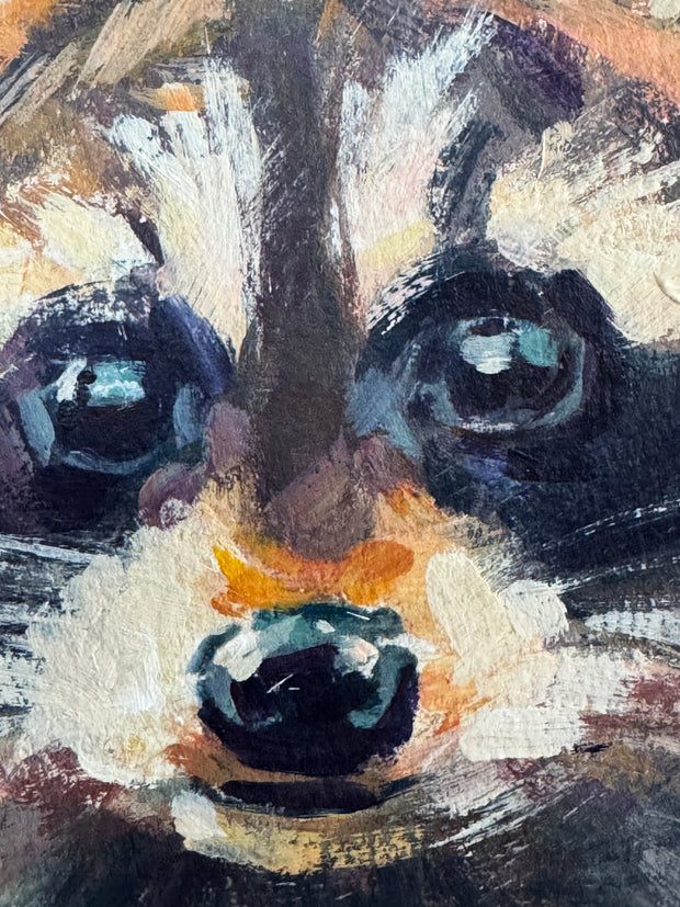 Raccoon - Pebble panel prints