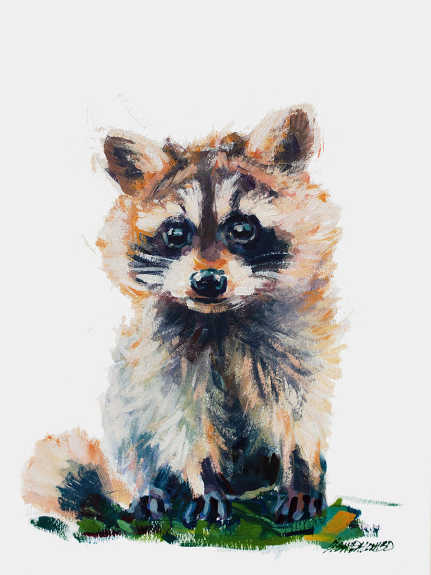 Raccoon - Pebble panel prints