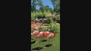 Pink Flamingos (Original) AUCTION