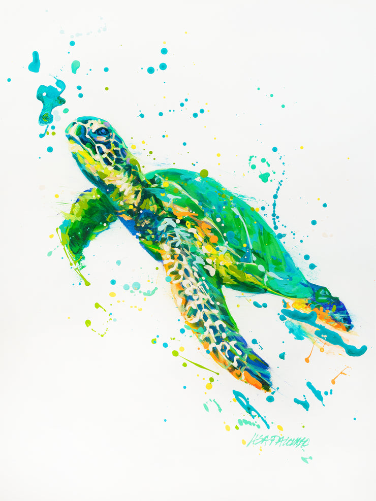 Green Sea Turtle (Original)