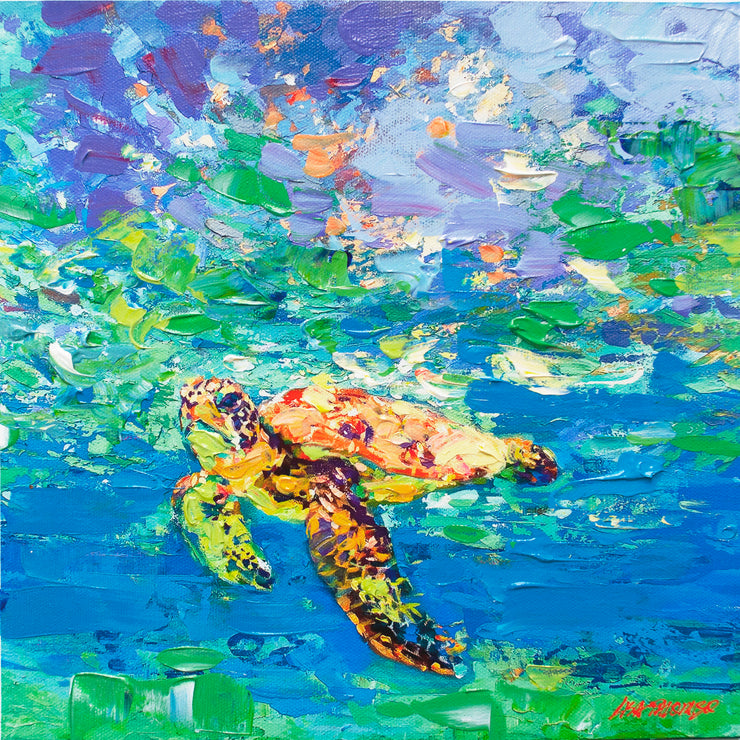 Flying Solo Sea Turtle, IV