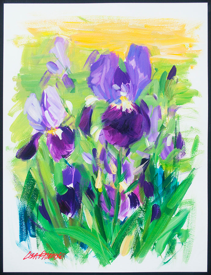 Purple Iris Breeze