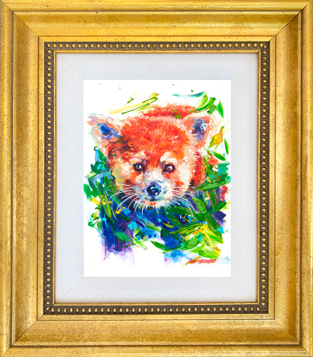 Red Panda - mini