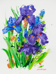 Springtime Irises