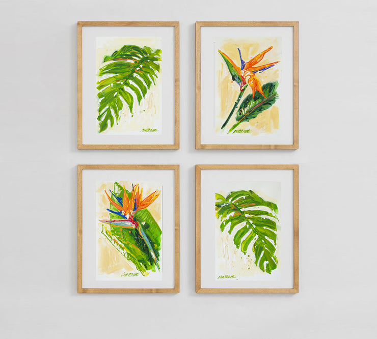 Rain or Shine (Bird of Paradise)