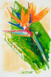 Looking on the Bright Side (Bird of Paradise)