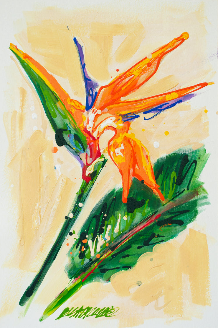 Rain or Shine (Bird of Paradise)